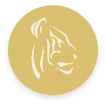 logo czr